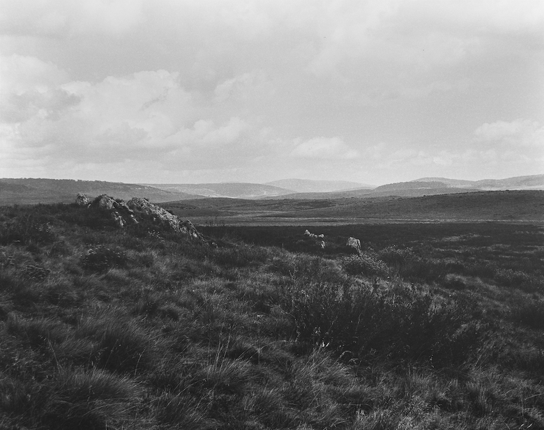 High Plains Kosciuszko National Park Wolgalu/Ngarigo Country (4417/7)