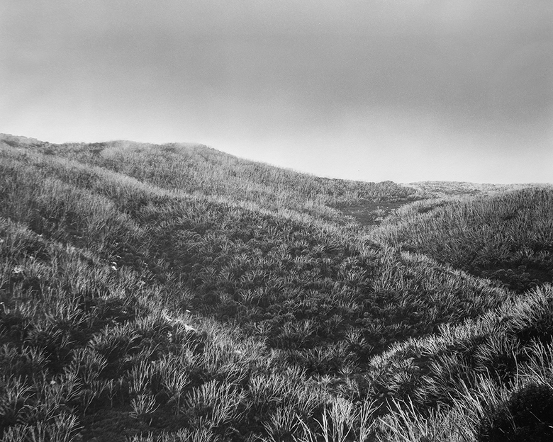 Bogong High Plains, Alpine National Park (4417/1)