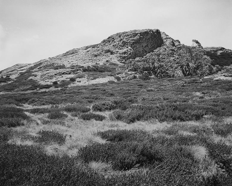 Bogong High Plains, Alpine National Park (4582/18)