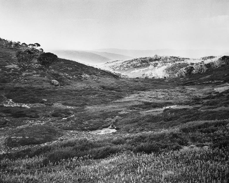 Bogong High Plains, Alpine National Park (4582/9)