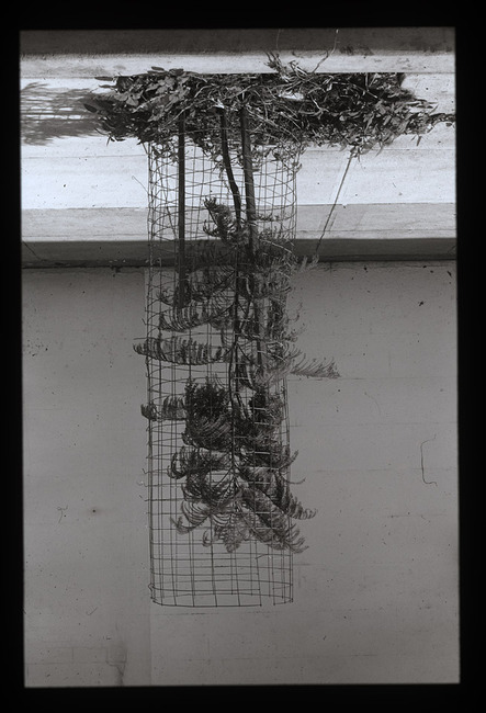 SYDNEY - 54/80