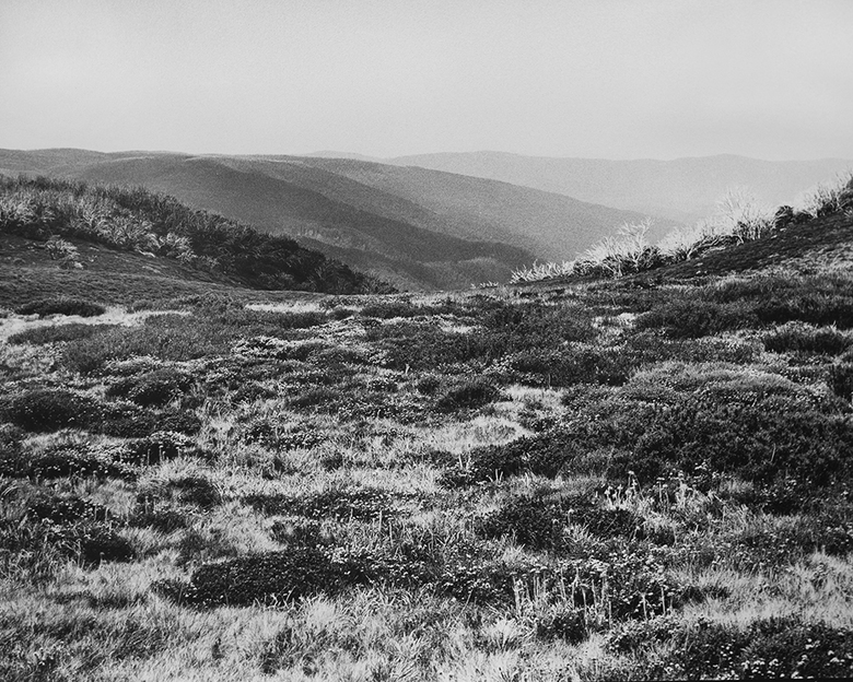 Bogong High Plains, Alpine National Park (4582/16)