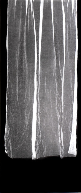 Untitled Photogram (linen) III