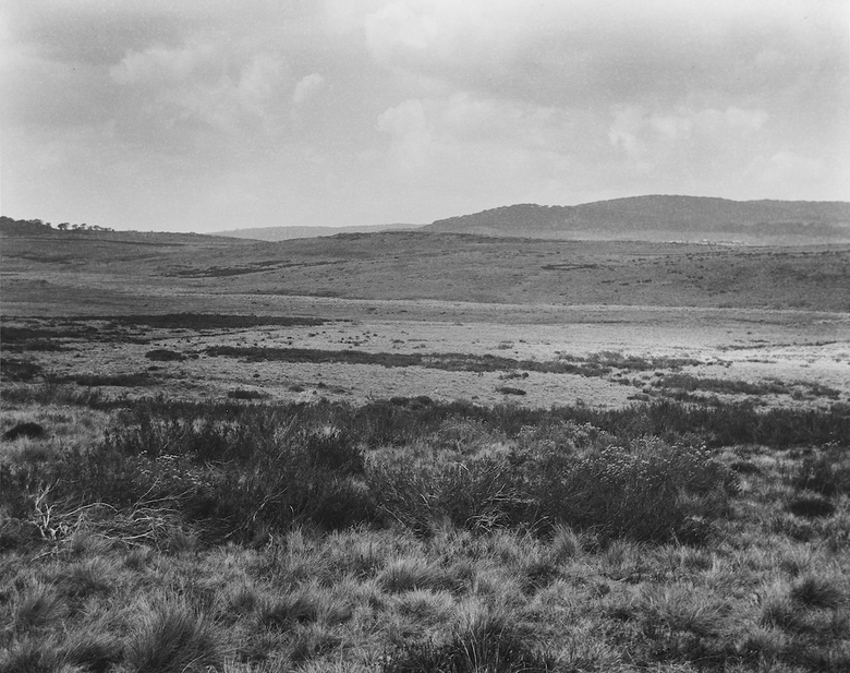 High Plains Kosciuszko National Park Wolgalu/Ngarigo Country (4417/16)