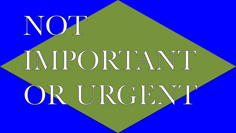48. NOT IMPORTANT OR URGENT, 2015 AGS.ppsx