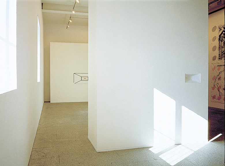installation view: cocido y crudo, 1994 | curated by Dan Cameron | Museo Centro de Arte Reina Sofia, Madrid