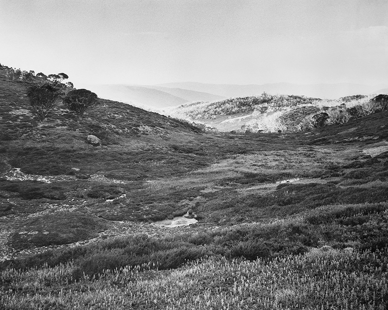 Bogong High Plains, Alpine National Park (4582/9)