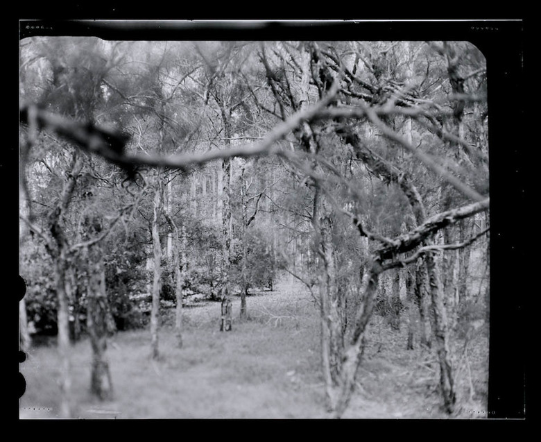 Max Dupain Linhof Technika 1
