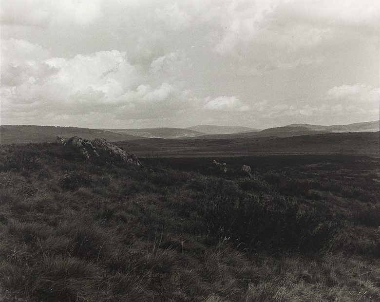 High Plains Kosciuszko National Park Wolgalu/Ngarigo Country (4417/7)