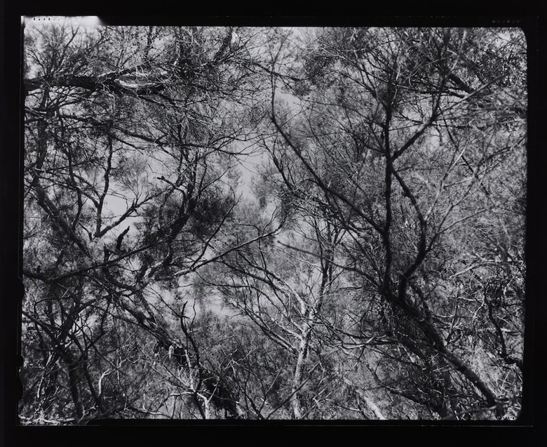Max Dupain Linhof Technika 2