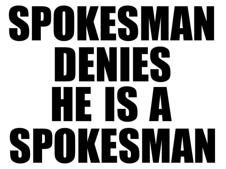 29. SPOKESMAN DENIES, 2013 AGS.ppsx