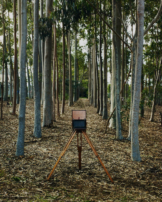 Avenues (stereoscope) 3